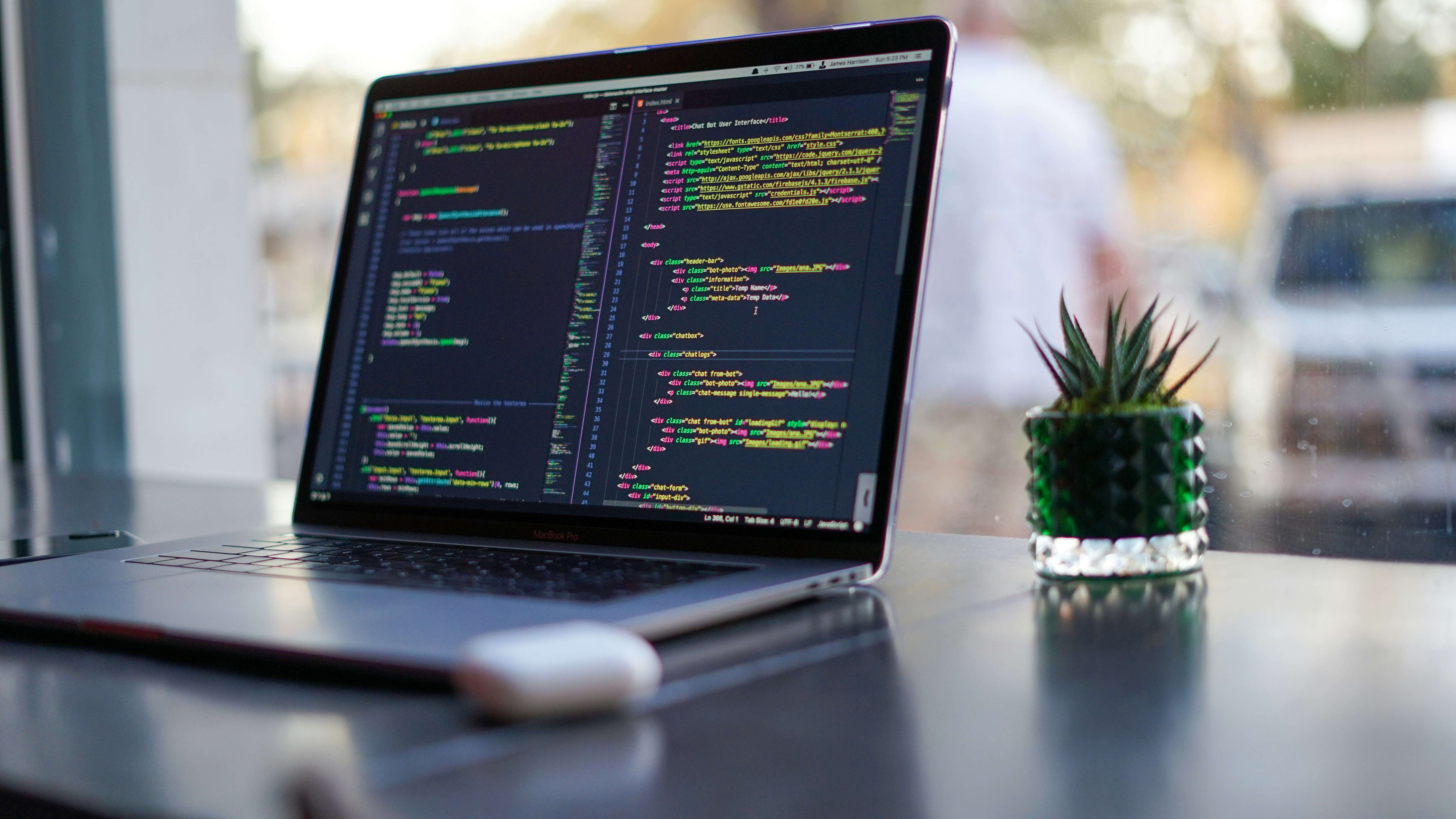 Professional Website